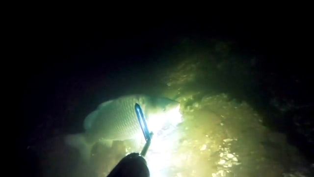 Выходные на секретном пляже у Днепра. смотреть онлайн