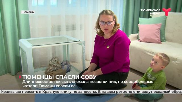 Тюменцы спасли раненую сову смотреть онлайн