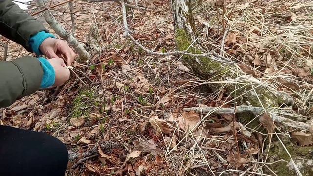 Рыбалка и черемша 10 мая 2024 года, озеро Тунайча смотреть онлайн