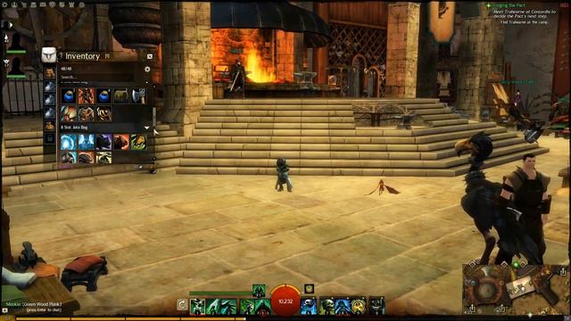 Guild Wars 2 - Mini Pets Unboxing смотреть онлайн