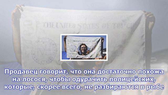 Что будет, если нарушить старые законы на глазах у полиции? смотреть онлайн