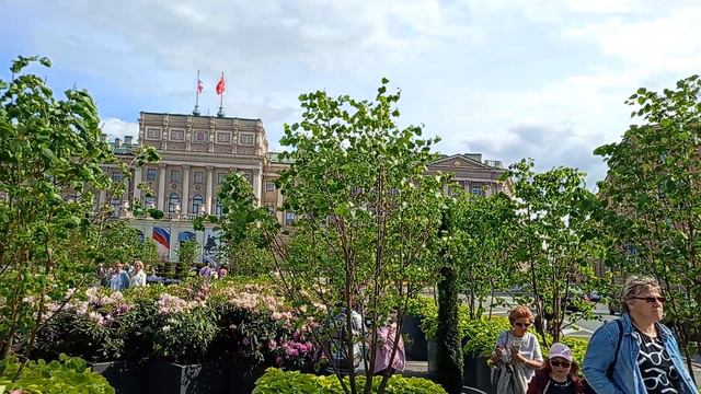 Санкт-петербург день России смотреть онлайн