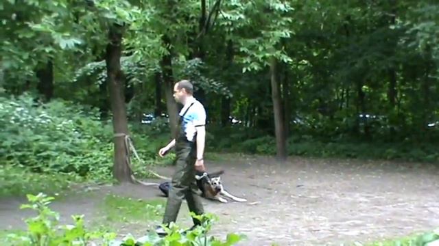 Охрана вещи экзамен ЗКС смотреть онлайн