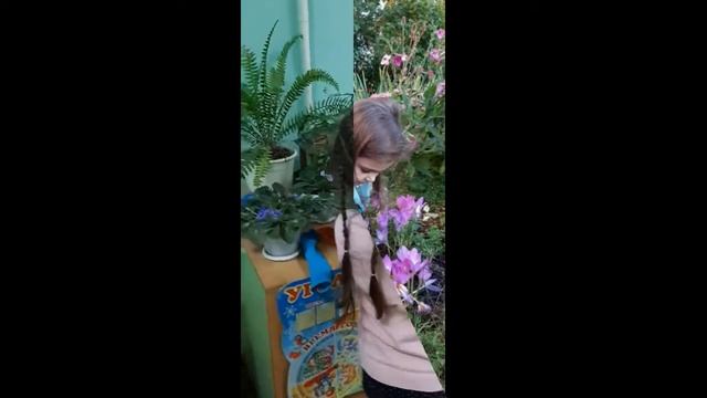 Красная книга Кузбасса. смотреть онлайн