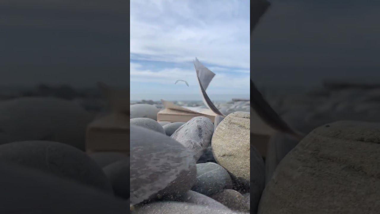 06.02.23 г. Погода Лазаревское #shorts #погодалазаревское #погодасочи смотреть онлайн