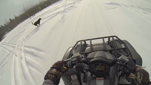 2016 Yamaha Grizzly 700 EPS SE смотреть онлайн