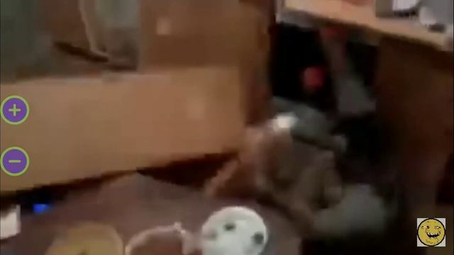 МУЖИК УПАЛ С ВЕРХНЕЙ ПОЛКИ смотреть онлайн