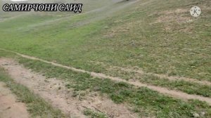 Манзарахои Точикистон Бахори  имруза