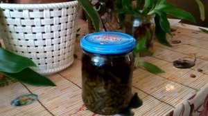 Золотой ус - уникальное растение для жизни и здоровья часть 3