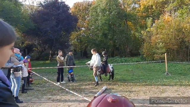 Пони-клуб. Это интересно! смотреть онлайн