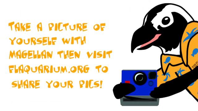 Meet Flat Magellan смотреть онлайн