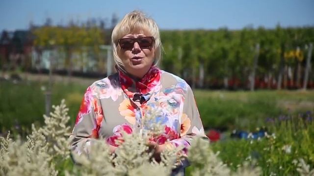 Приглашение на семинар в Питомнике 'Сад Вашей Мечты', ведущий спикер - Клаудиа Вест. смотреть онлайн
