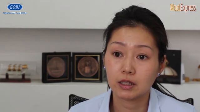 История монгольской компании 