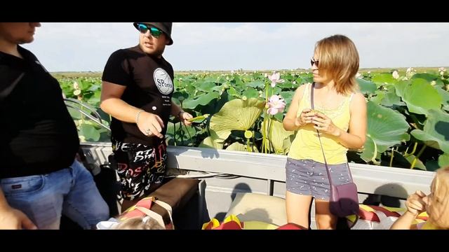 Краснодарский край, Долина ЛОТОСОВ смотреть онлайн