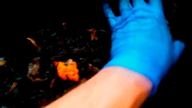 ПАН45. Биогумус производство Черви для биогумуса. смотреть онлайн