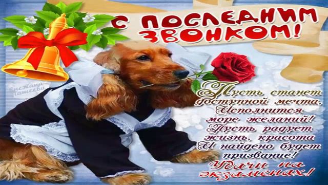 Поздравление для Даши смотреть онлайн