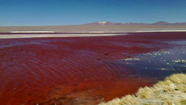 лагуна Colorado