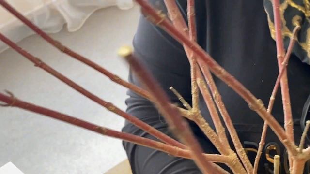 Дёрен - идеальное решение для сада минимального ухода! смотреть онлайн