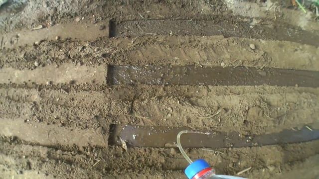 Посадка в теплице томатов лука и картофеля семенами 26 03 16г смотреть онлайн