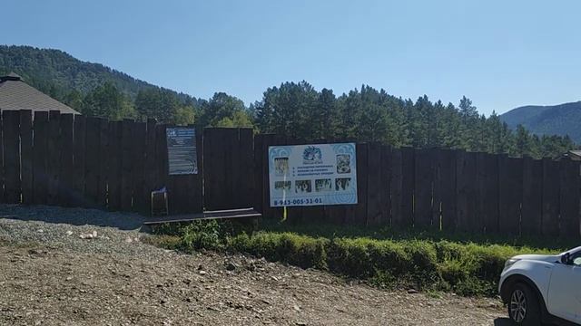 питомник хаски сибирская легенда в камлаке смотреть онлайн