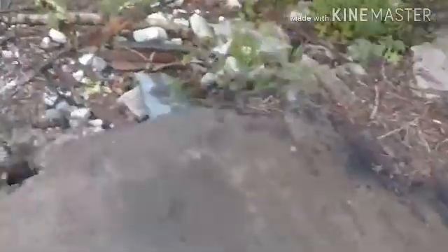 Заброшенные поезда г.хабаровск смотреть онлайн