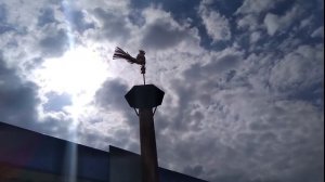 Флюгер Петух !!!