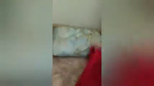 Делаю чил зону с Ралиной 😄 смотреть онлайн