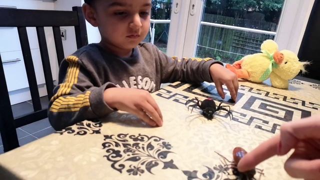 Robo Alive Spider and cockroach Toy - Zuro Robo смотреть онлайн