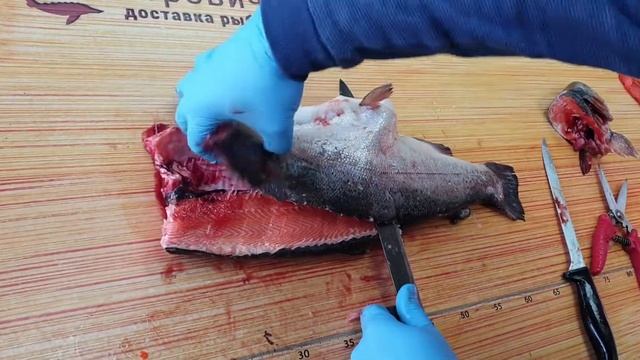 Как разделать непотрошеную форель под засолку? смотреть онлайн
