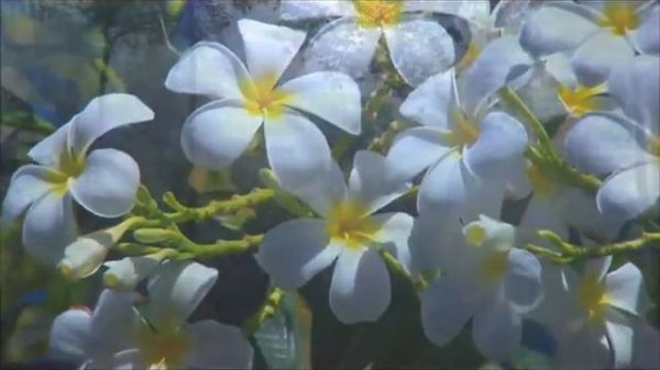 РУШНИК - Anatoli Kireev