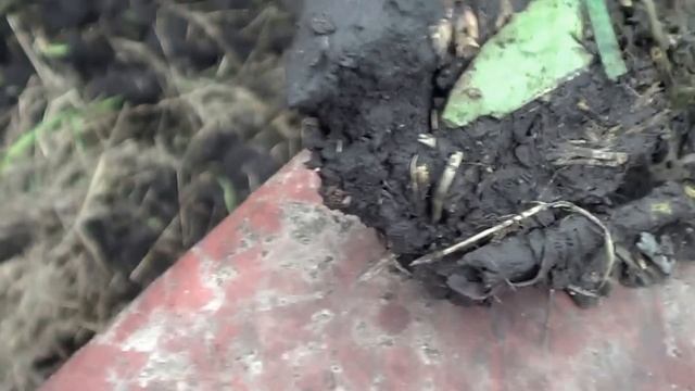 Культиватор КПЭ-3.8 за трактор Т-150К смотреть онлайн