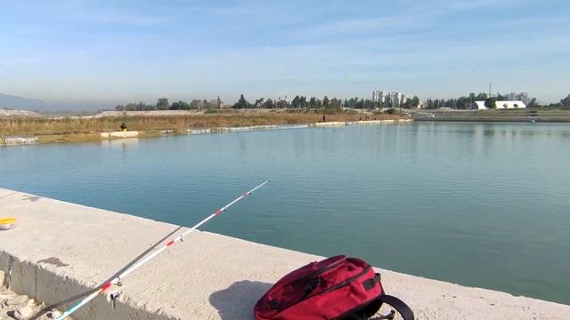 Рыбалка в Анталии, Турция Поймали Угря 60 см длиной Fishing in Antalya, Turkey 60 cm long Eel Fish смотреть онлайн