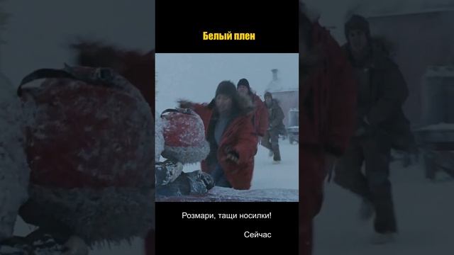 Этих собак оставили на пол года одних ? смотреть онлайн