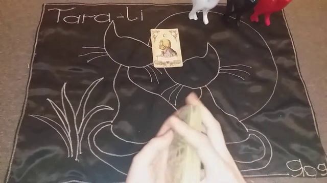 ЧР.Ольга/Илья. смотреть онлайн