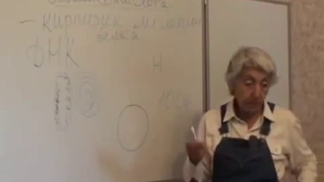 Марва Оганян, Одинцово 2010 Большая лекция часть 1 смотреть онлайн