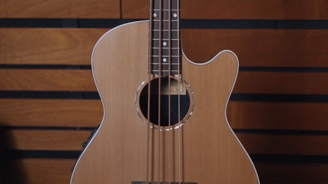 Aquila Strings Shortbass One - Il basso acustico portatile dal suono di un contrabbasso! смотреть онлайн