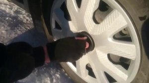 Рено Логан колпаки/Renault Logan Caps