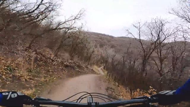2021 Trek Fuel EX Test Ride & Review смотреть онлайн