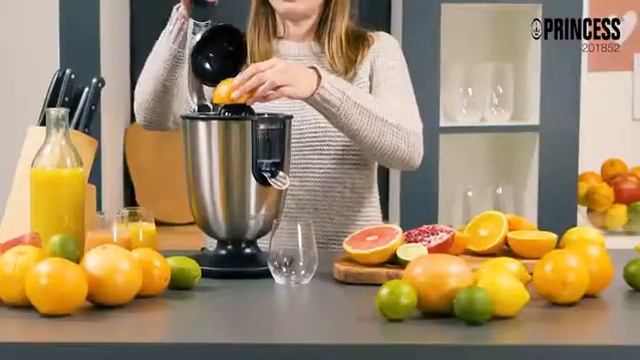 Presse agrumes Master Princess смотреть онлайн
