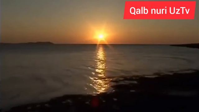 Abdulloh Domla Ishi Yurishmayotgan Birodarlarimizga Nasixat Абдуллох домла иши юришмайотганларга