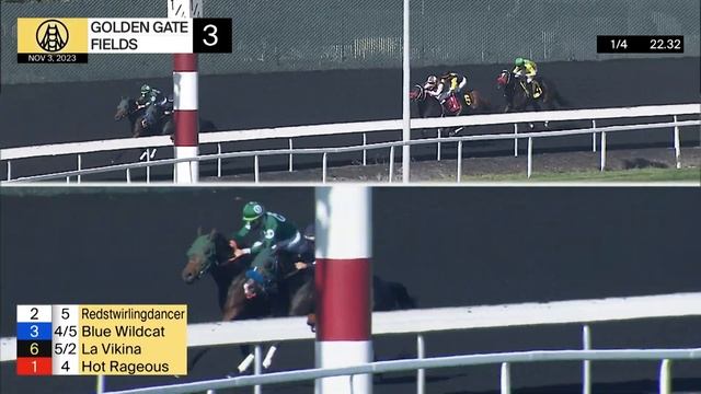 Blue Wildcat Wins Race 3 on November 3, 2023 at Golden Gate Fields смотреть онлайн