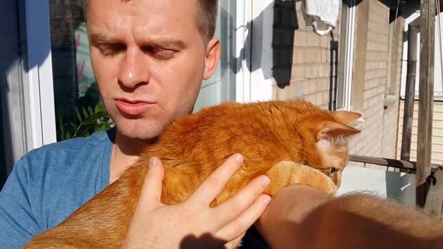 Простой и вкусный завтрак для мужа смотреть онлайн