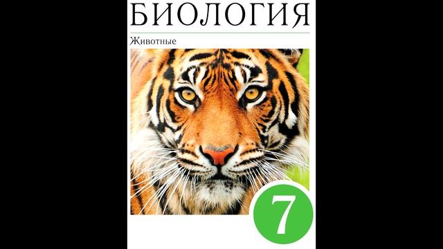 § 36 Покровы тела смотреть онлайн