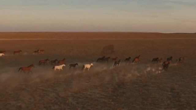 NIS MEDIA - День Независимости! смотреть онлайн