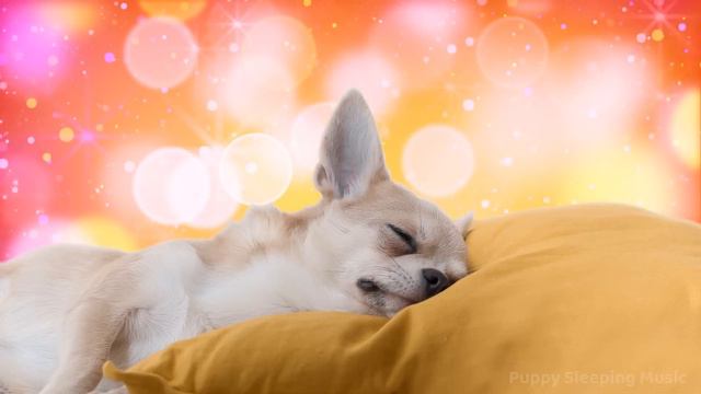 ☆ 12 HOURS ☆ Puppy Sleeping Music 🐶 ♫ CHIHUAHUA Song ☆ Dog Sleep Music ☆ Relaxing dog music ☆ смотреть онлайн