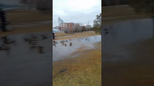 Первый стрит в 2022 году
1 Апреля. #ведомыйкрай смотреть онлайн