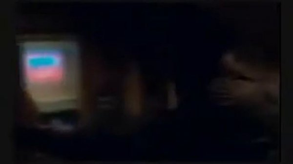 Mark Hoffman-Bad Romance