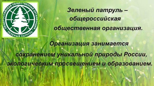 Как защищают природу смотреть онлайн