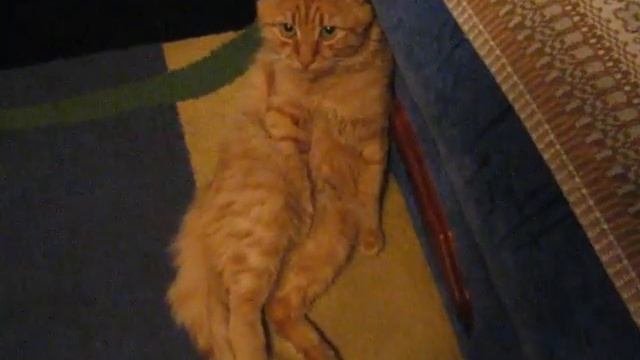 Пожелание от Левки смотреть онлайн