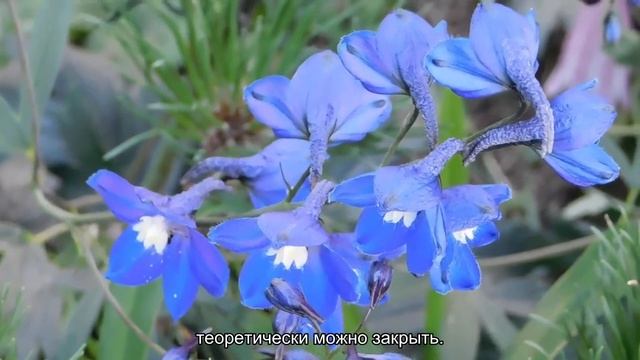 Почему в Петербурге пациенты вынуждены платить в государственных стоматологических поликлиниках смотреть онлайн